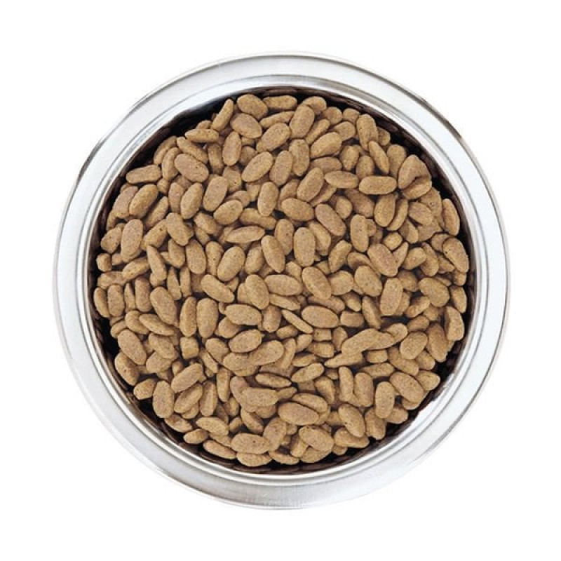 Pro Plan 3 Kg Small & Mini Sensitive Skin Salmon | Yetişkin Köpek Kuru Maması