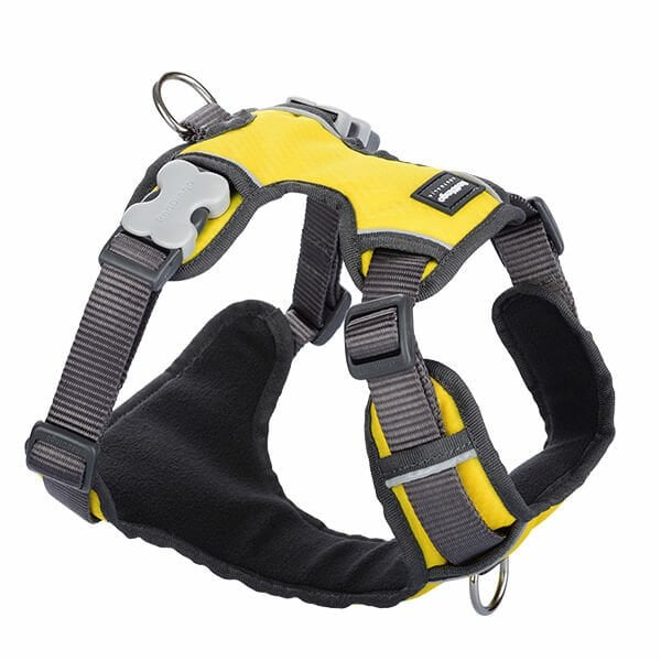 Red Dingo 15 Mm Konfor Sarı Polarlı Göğüs Tasması | Köpek Göğüs Tasması