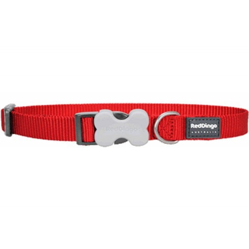 Red Dingo 25 Mm Klasik Kırmızı Boyun Tasması | Köpek Boyun Tasması Red Dingo 25 Mm Klasik Kırmızı Boyun Tasması | Köpek Boyun Tasması