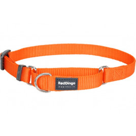 Red Dingo 25mm Klasik Turuncu Boyun Eğitim Tasması | Köpek Eğitim Tasması