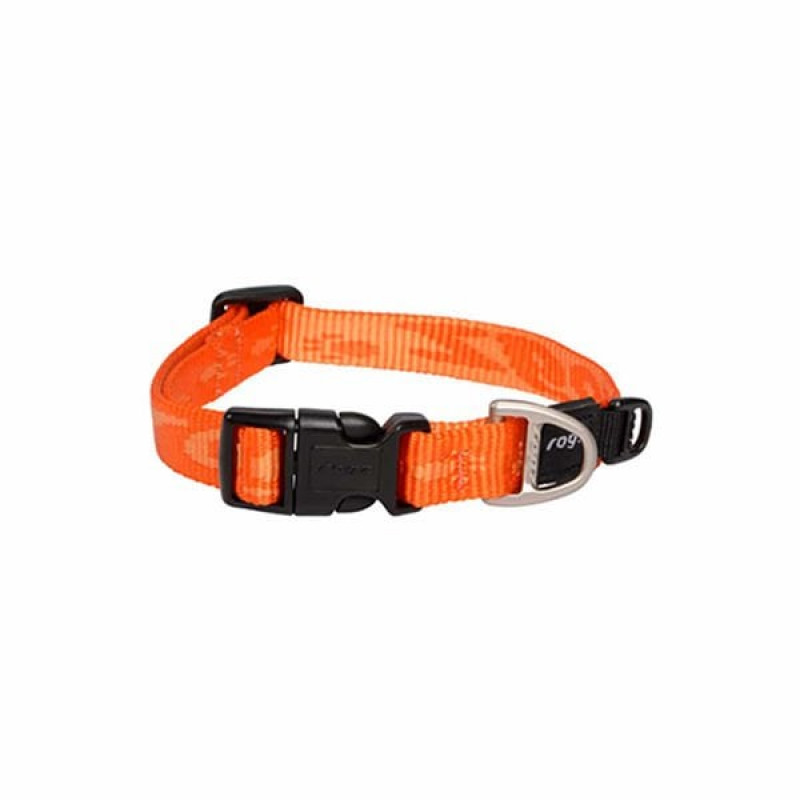 Rogz L Alpinist Halsband Desenli Boyun Tasması Turuncu 34x56 Cm | Köpek Boyun Tasması Rogz L Alpinist Halsband Desenli Boyun Tasması Turuncu 34x56 Cm | Köpek Boyun Tasması