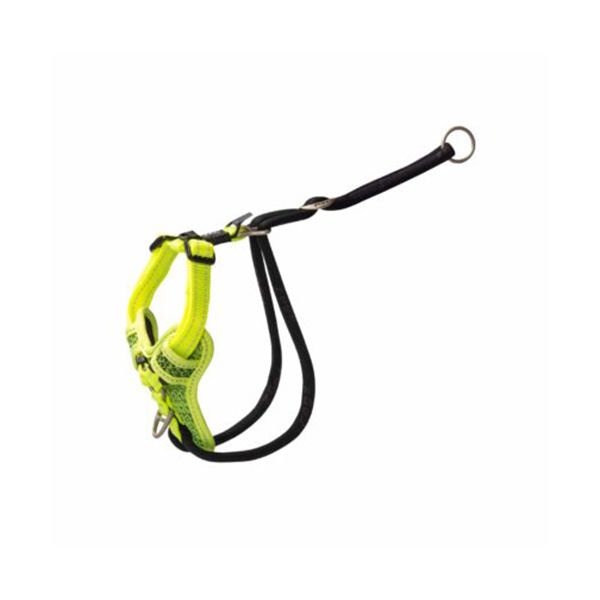 Rogz M Utility Stop Pull Tuig Durma Çekme Göğüs Tasması Sarı 1,6x32-52 Cm | Kedi Göğüs Tasması