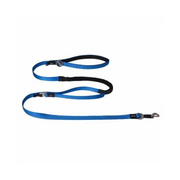 Rogz XL Utility Control Dokuma Gezdirme Kayışı Mavi 2.5x120 Cm | Köpek Gezdirme Tasması