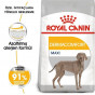 Royal Canin 10 Kg Maxi Dermacomfort | Hassas Tüylü Köpek Maması