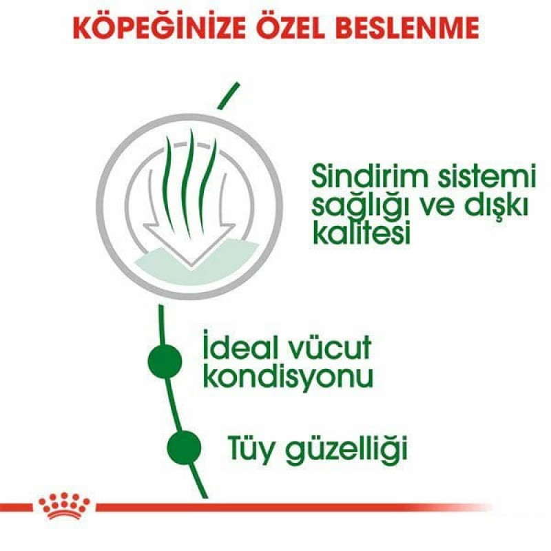 Royal Canin 1,5 Kg Mini İndoor Adult | Yetişkin Köpek Kuru Maması