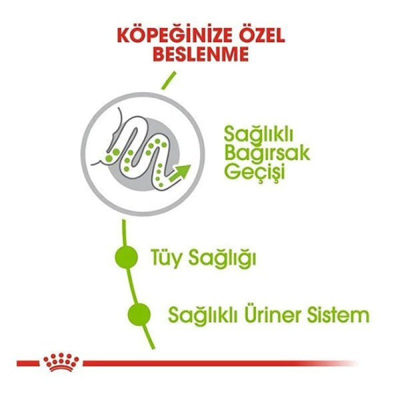 Royal Canin 1,5 Kg X-Small Adult | Yetişkin Köpek Kuru Maması