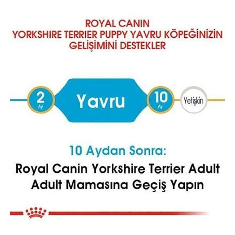 Royal Canin 1,5 Kg Yorkshire Terrier Puppy | Yetişkin Köpek Kuru Maması