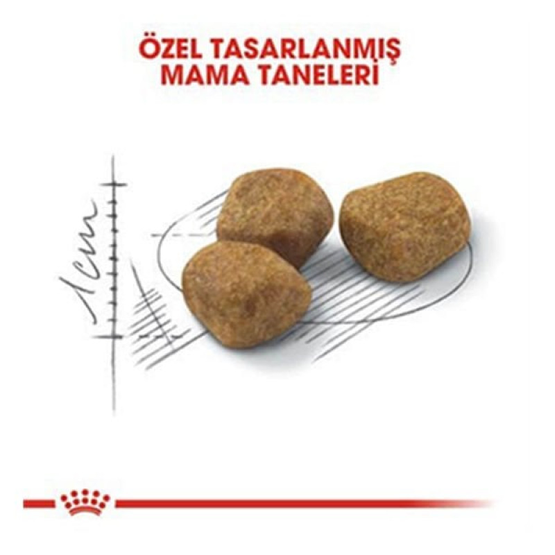 Royal Canin 1,5 Kg İndoor +7 | Yaşlı Kedi Kuru Maması