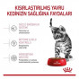 Royal Canin 2 Kg Kitten Sterilised | Kısırlaştırılmış Kedi Maması