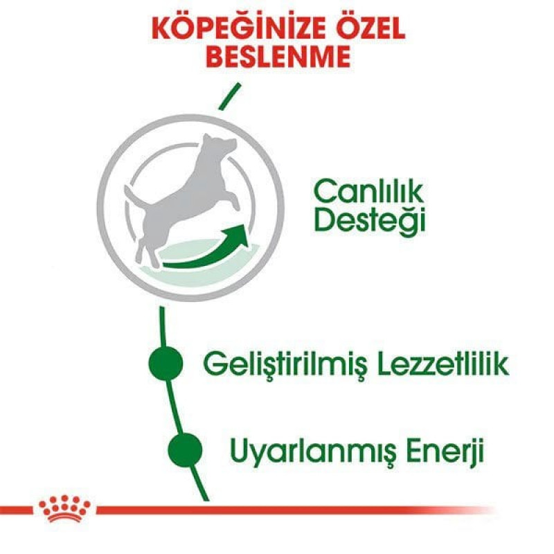 Royal Canin 2 Kg Mini Mature +8 | Yaşlı Köpek Kuru Maması