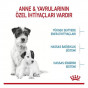 Royal Canin 3 Kg Mini Starter | Yavru Köpek Kuru Maması