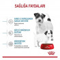 Royal Canin 4 Kg Mini Starter Mother & Baby | Yavru Köpek Kuru Maması