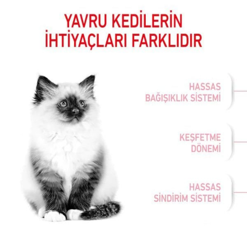 Royal Canin 400+400 Gr Hediyeli Kitten | Yavru Kedi Kuru Maması