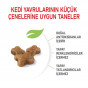 Royal Canin 400+400 Gr Hediyeli Kitten | Yavru Kedi Kuru Maması