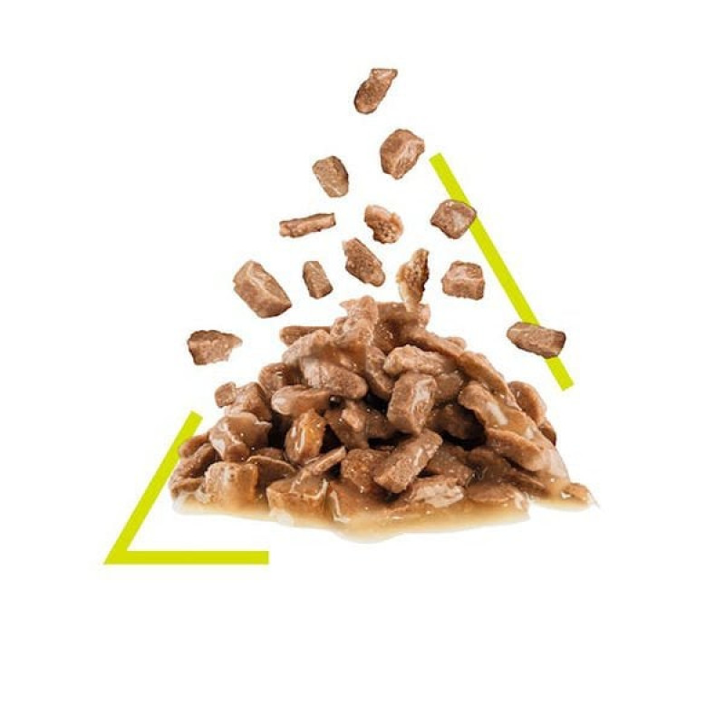 Royal Canin 85 Gr Sensory Smell Gravy | Yetişkin Kedi Maması