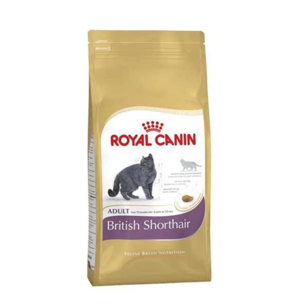 Royal Canin 10 Kg British Shorthair Adult | Özel Irk Kuru Kedi Maması