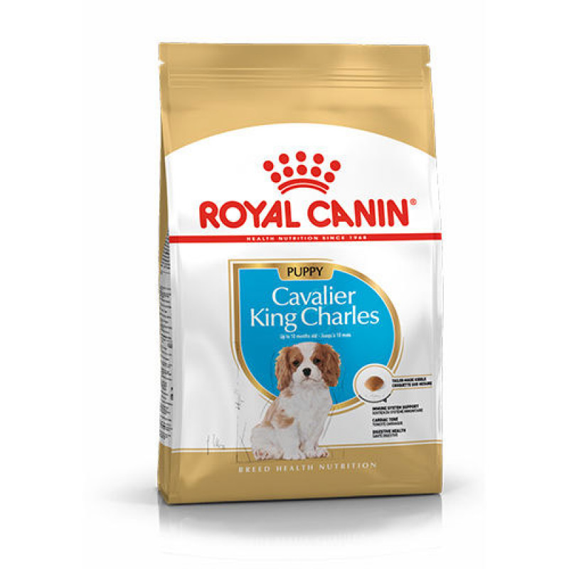 Royal Canin 1,5 Kg Cavalier King Charles Puppy | Yavru Köpek Kuru Maması Royal Canin 1,5 Kg Cavalier King Charles Puppy | Yavru Köpek Kuru Maması