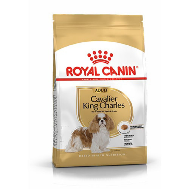 Royal Canin 3 Kg Cavalier King Charles Adult | Yetişkin Köpek Kuru Maması Royal Canin 3 Kg Cavalier King Charles Adult | Yetişkin Köpek Kuru Maması