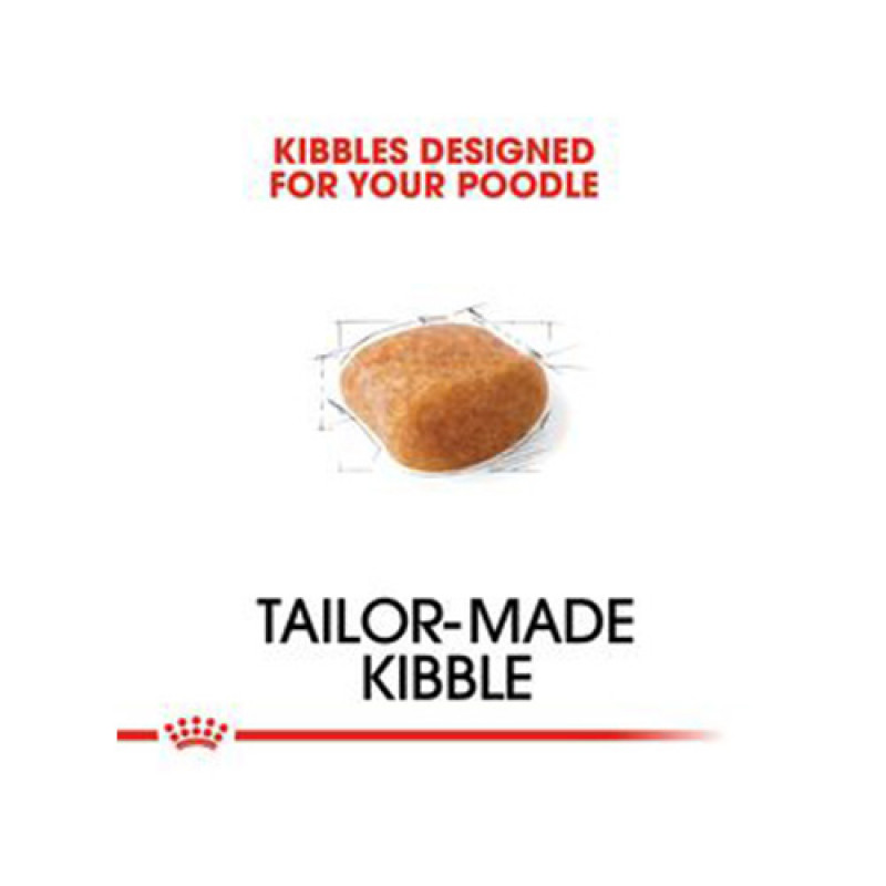Royal Canin 3 Kg Poodle Adult | Yetişkin Köpek Kuru Maması