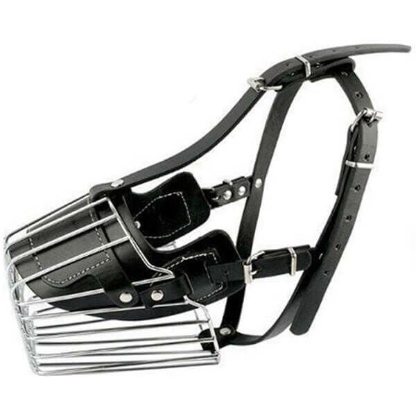 Royalist Büyük ve Dev Irk Metal Köpek Ağızlığı No:4 | Köpek Ağızlığı