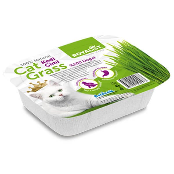 Royalist %100 Doğal Sindirimi Rahatlatıcı Çim | Kedi Otu
