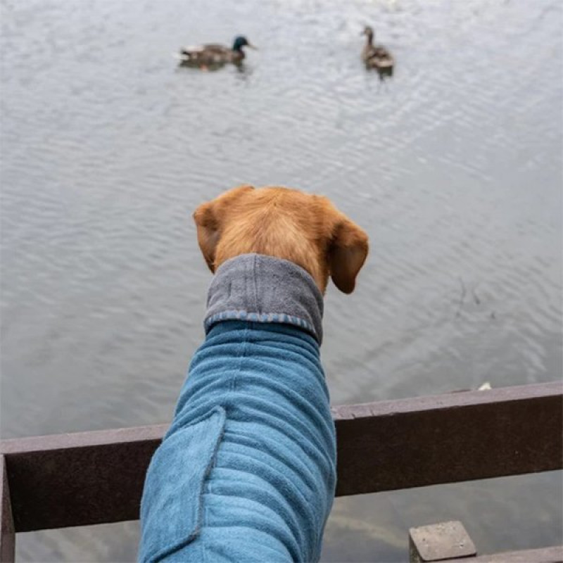 Ruff & Tumble DT 36-46 Cm Süper Emici Pamuklu Bornoz Puantiyeli | Köpek Şampuanı