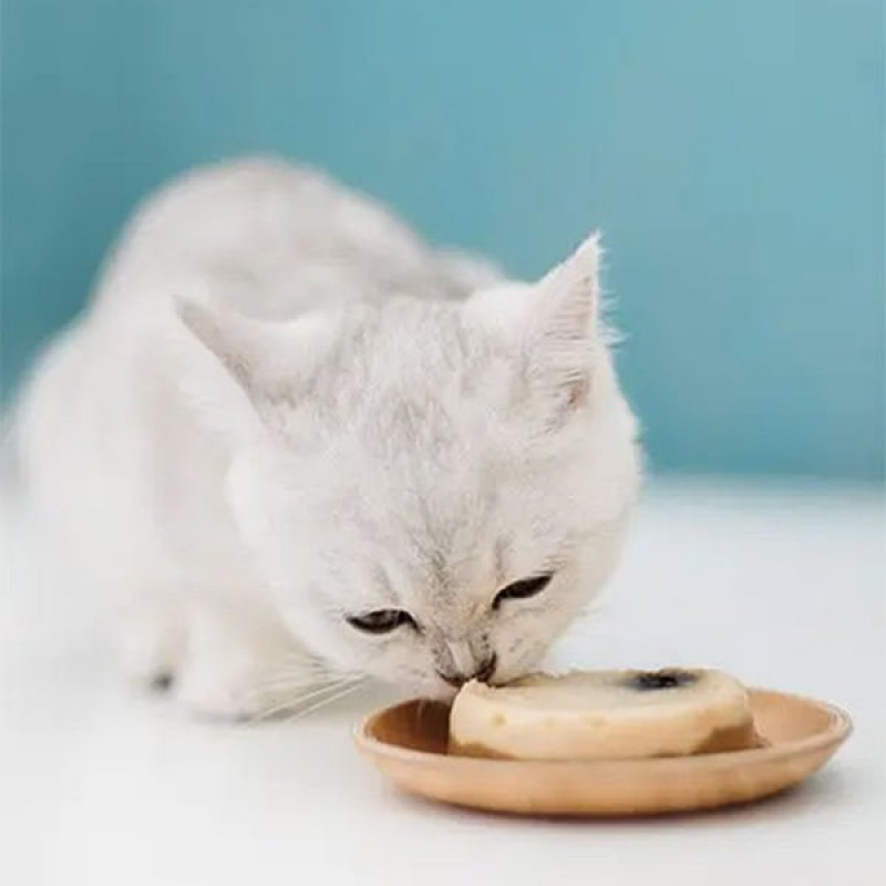 Schesir 2 Adet Delice Ton Tavuk ve Kivi 40 Gr | Yetişkin Kedi Maması