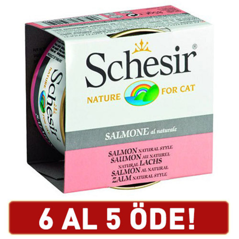 Schesir 6 Adet Salmon 85 Gr | Yetişkin Kedi Maması