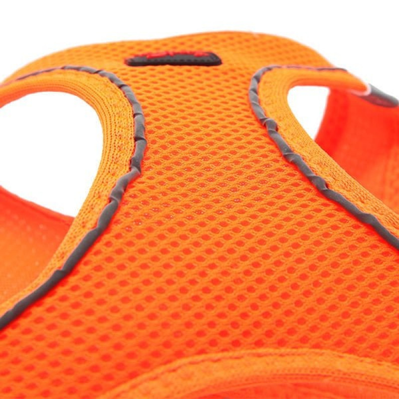 Tailpetz (3XS) Air Mesh Göğüs Tasması Neon Turuncu | Köpek Göğüs Tasması