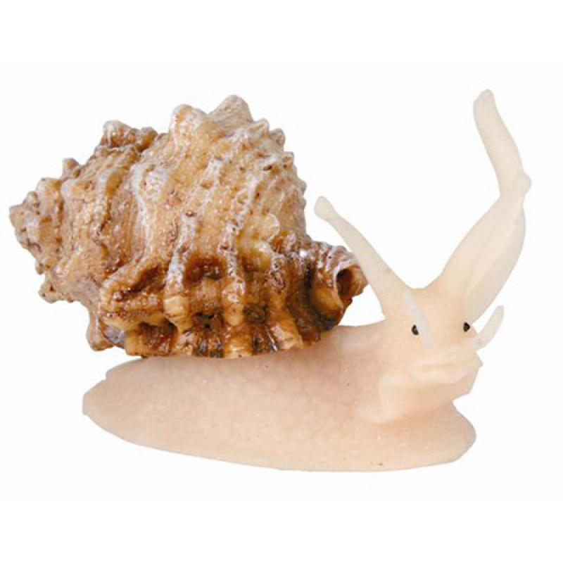 Kabuklu Deniz Canlıları 10 Cm | Akvaryum Dekor Fon Kabuklu Deniz Canlıları 10 Cm | Akvaryum Dekor Fon