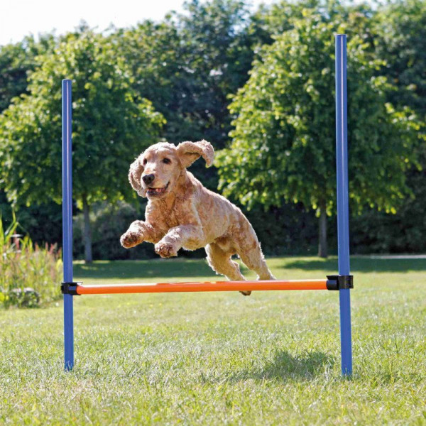 Trixie 129×115×3 Cm Agility Eğitim Manisi | Köpek Spor Malzemesi