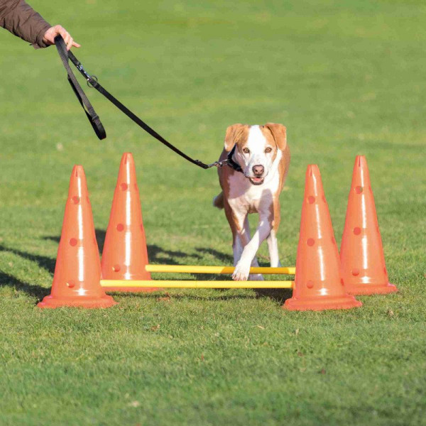 Trixie 2 Adet Agility Oyuncağı  Ø30X50 Cm 100 Cm | Köpek Spor Malzemesi