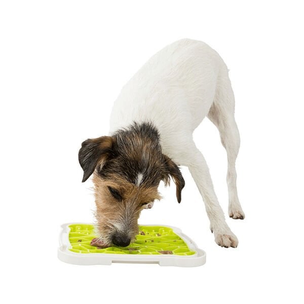 Trixie 20x20cm Ödül Oyuncağı, TPR | Kauçuk Ve Plastik Köpek Oyuncağı