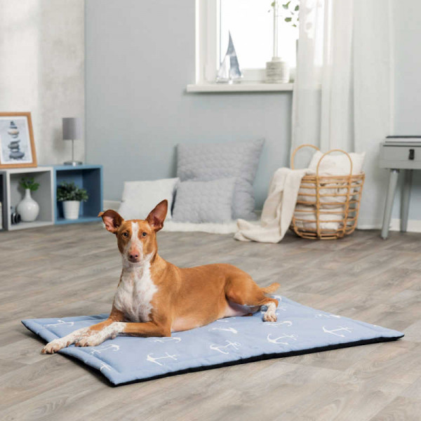 Trixie 100X70 cm Köpek Yatağı Açık Mavi | Kumaş Köpek Yatağı
