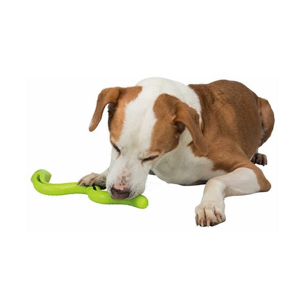 Trixie Köpek Ödül Oyuncağı, Yeşil Yılan, Tpr, 42 Cm | Ödül Hazneli Köpek Oyuncağı