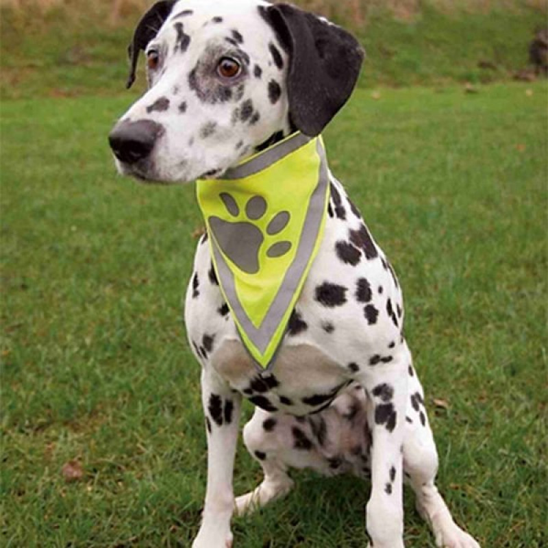 Trixie L-XL Bandana 42-60 Cm | Köpek Boyun Tasması