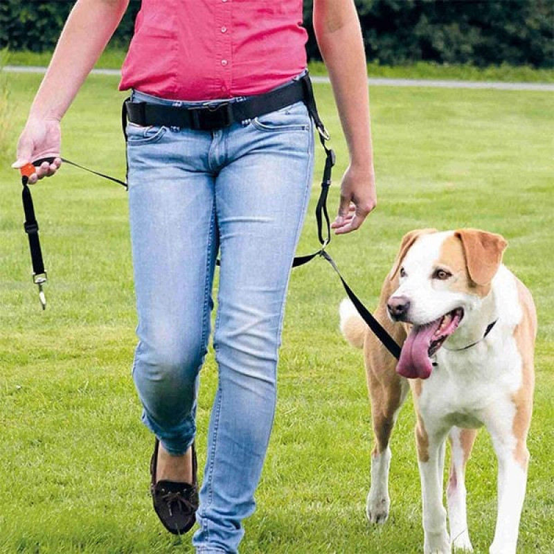 Trixie XL-Kısa Uzman Köpek Eğitim Tasması 40 Cm | Köpek Eğitim Tasması