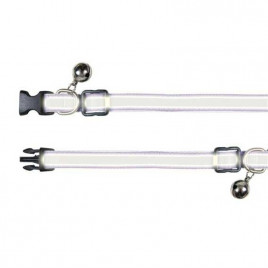 Ayarlanabilir Fosforlu Yavru Tasmas | Kedi Boyun Tasması