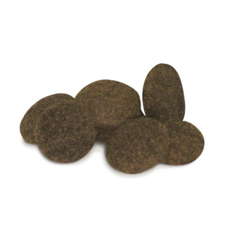 Unica Classe 2 Kg Adult Mini Equilibrium Kuzu Etli Küçük Irk Yetişkin | Yetişkin Köpek Kuru Maması