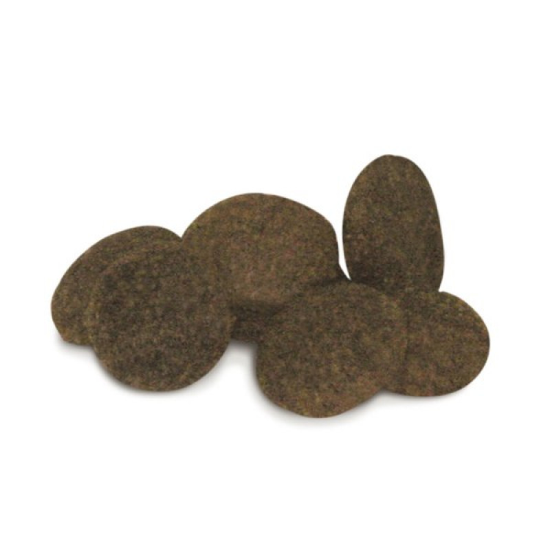 Unica Classe 2 Kg Adult Mini Sensitive Ton Balıklı Küçük Irk Yetişkin | Yetişkin Köpek Kuru Maması