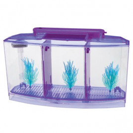 Venys 10x21x16 Cm 3 Bölmeli Beta Işıklı Akvaryum Seti Mor | Tatlı Su Akvaryumu