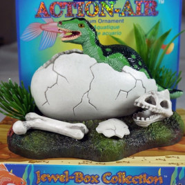 Venys Yumurtadan Çıkan Dinazor Renkli | Akvaryum Dekor Fon