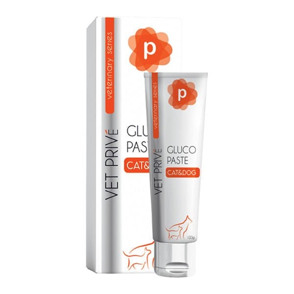 Vet Prive 100 Gr Veterinary Gluco Paste | Kedi Macunu
