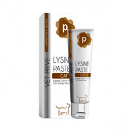 100 Gr Veterinary Lysine Paste | Kedi Vitamini 100 Gr Veterinary Lysine Paste | Kedi Vitamini