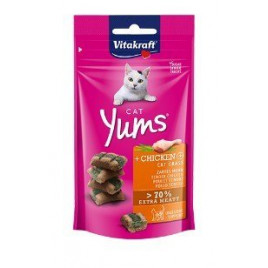 40 Gr Tavuklu Ve Kedi Otlu Yumuşak Ödül | Kedi Bisküvi Ödül Maması 40 Gr Tavuklu Ve Kedi Otlu Yumuşak Ödül | Kedi Bisküvi Ödül Maması