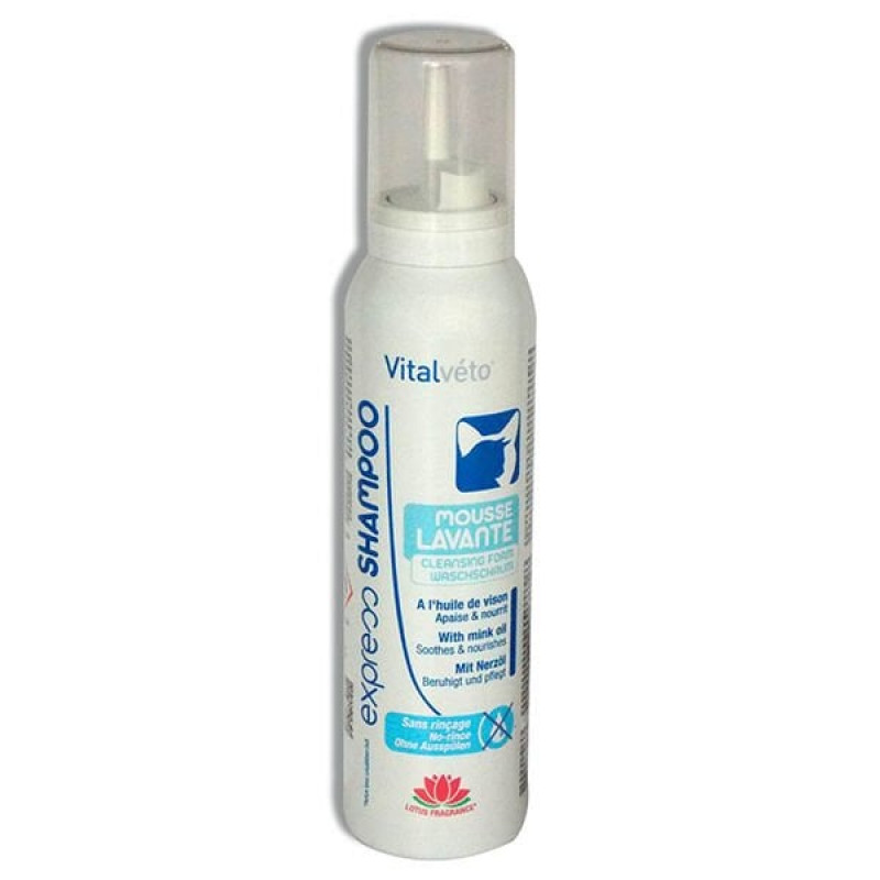 Vitalveto 150L Ml Lavanta Kokulu Köpük Şampuanı | Kedi Şampuanı Vitalveto 150L Ml Lavanta Kokulu Köpük Şampuanı | Kedi Şampuanı