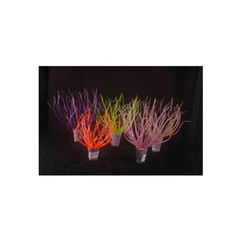 Xiongfa 16x16x16 Cm Yapay Bitki | Akvaryum Yapay Bitki Xiongfa 16x16x16 Cm Yapay Bitki | Akvaryum Yapay Bitki