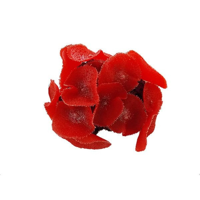 Xiongfa 19x15x10 Cm Mantar | Akvaryum Yapay Bitki Xiongfa 19x15x10 Cm Mantar | Akvaryum Yapay Bitki