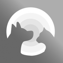 Le Salon Kauçuk Fırça Renkli | Köpek Hijey Ve Temizlik Ürünü Le Salon Kauçuk Fırça Renkli | Köpek Hijey Ve Temizlik Ürünü